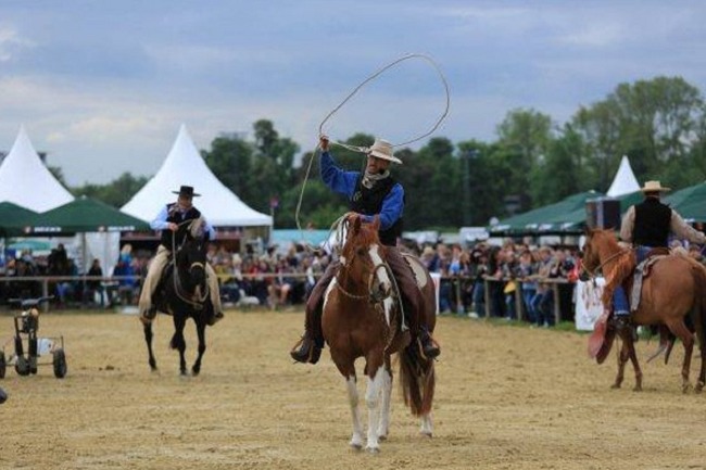 德國科隆馬術(shù)用品展覽會spoga horse(m.kllife.com.cn)